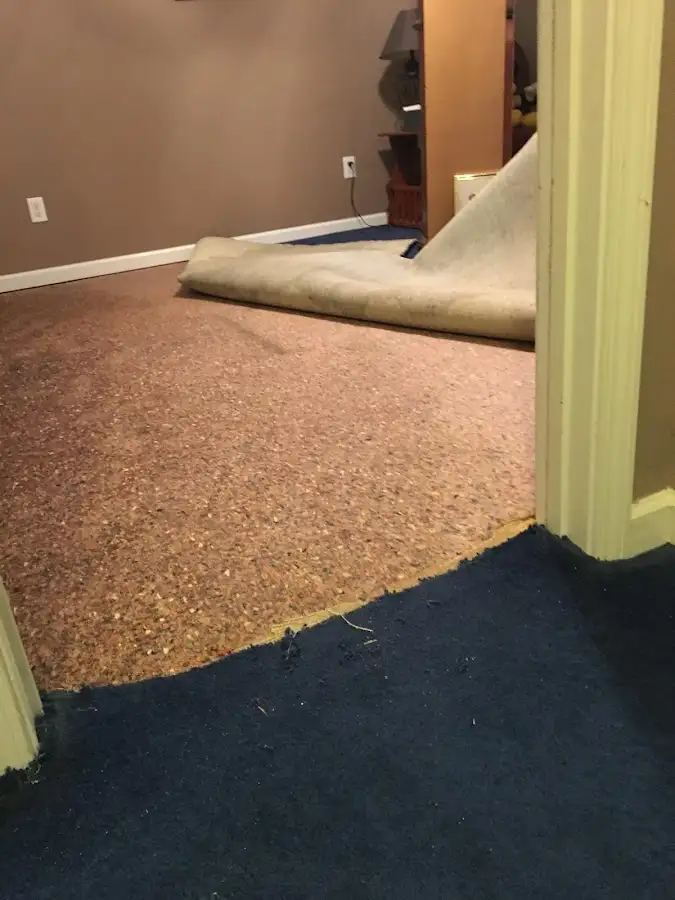 Carpet pad removal revealing water damage during Water Mitigation Services in Alfred