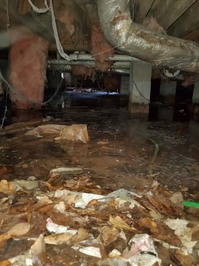 Crawl space flood assessment for Leak Detection & Repair in Alfred